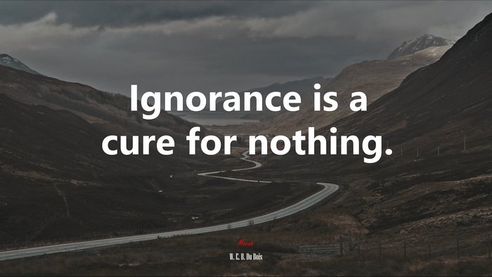 Ignorance is a cure for nothing. | W. E. B. Du Bois quote