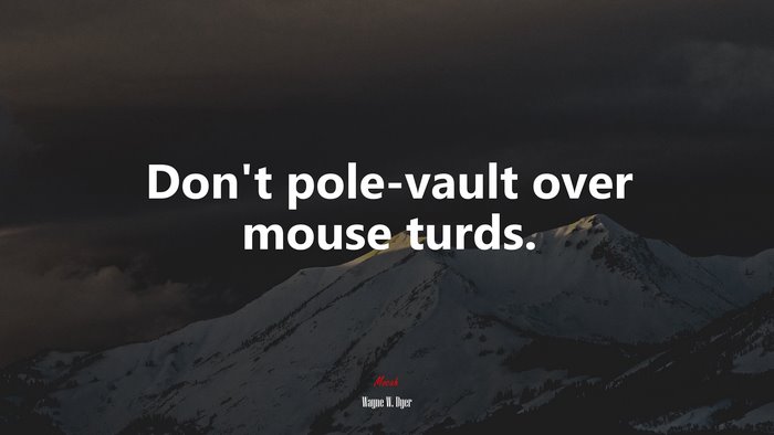 Don’t pole-vault over mouse turds. | Wayne W. Dyer quote