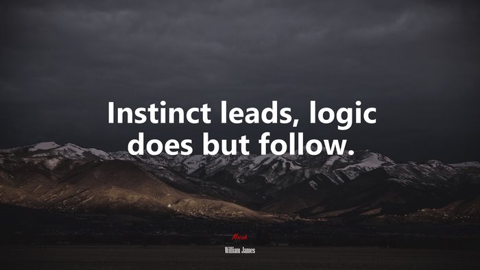 Instinct leads, logic does but follow. | William James quote