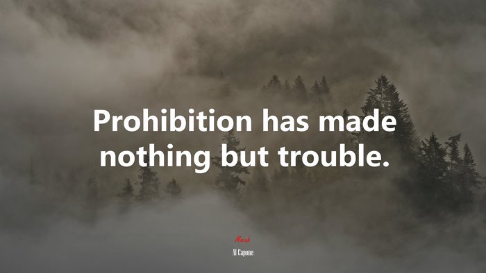 Prohibition has made nothing but trouble. | Al Capone quote