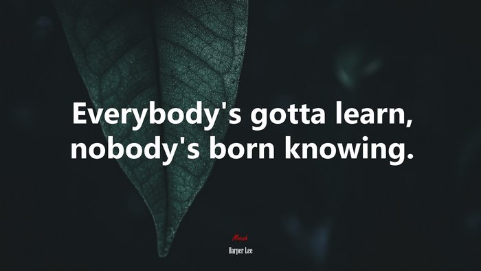 Everybody’s gotta learn, nobody’s born knowing. | Harper Lee quote
