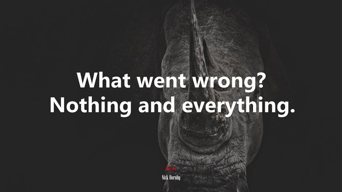 What went wrong? Nothing and everything. | Nick Hornby quote