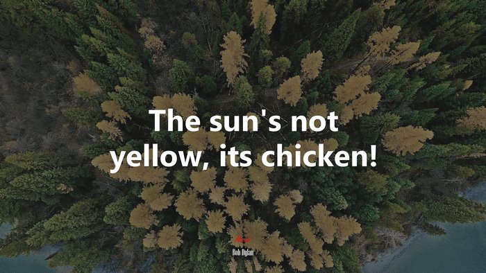 The sun’s not yellow, its chicken! | Bob Dylan quote
