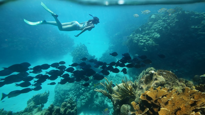 Woman snorkeling with fish near coral reef