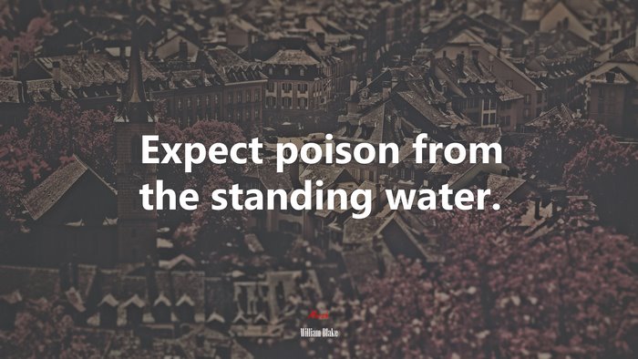 Expect poison from the standing water. | William Blake quote