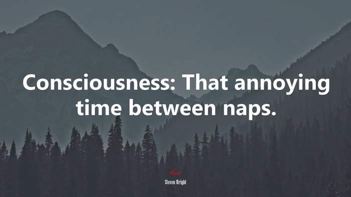 Consciousness: That annoying time between naps. | Steven Wright quote
