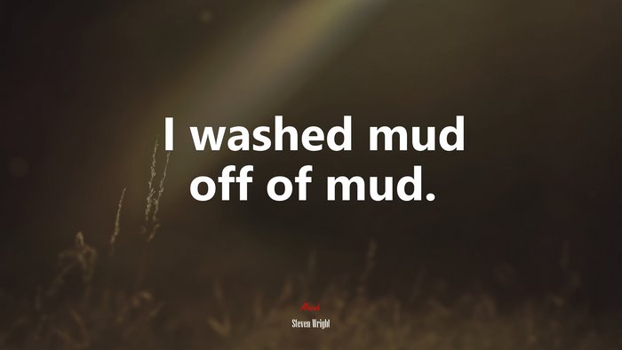 I washed mud off of mud. | Steven Wright quote