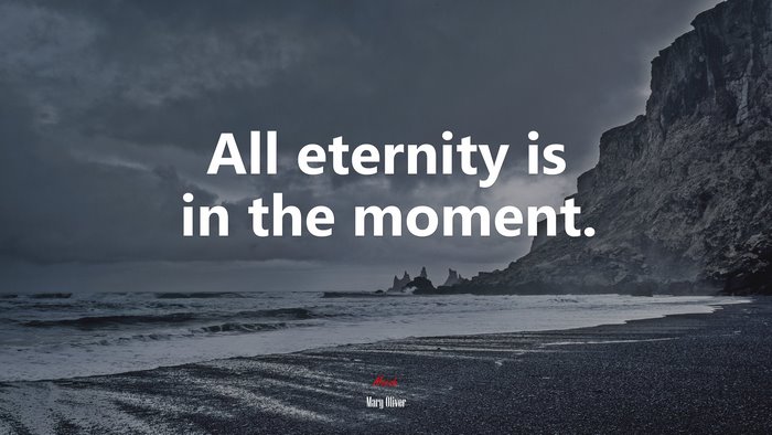 All eternity is in the moment. | Mary Oliver quote