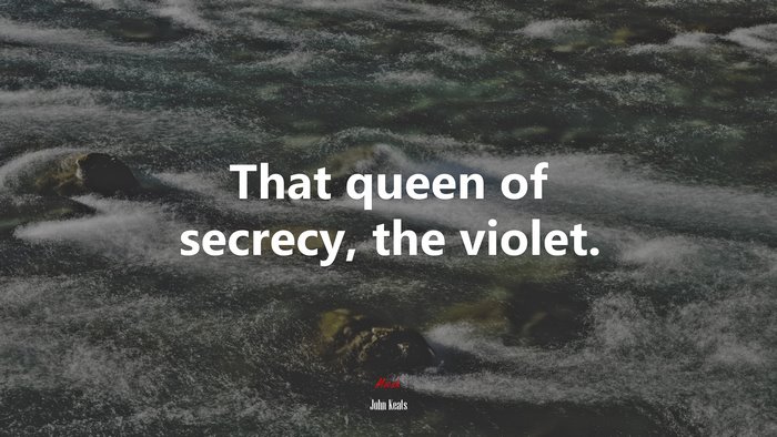 That queen of secrecy, the violet. | John Keats quote