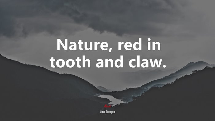 Nature, red in tooth and claw. | Alfred Tennyson quote