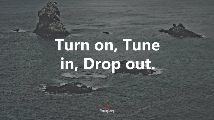 Turn on, Tune in, Drop out. | Timothy Leary quote