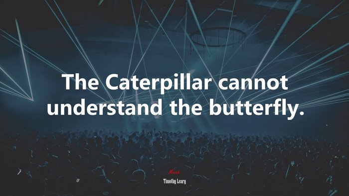 The Caterpillar cannot understand the butterfly. | Timothy Leary quote