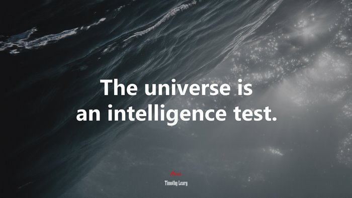 The universe is an intelligence test. | Timothy Leary quote