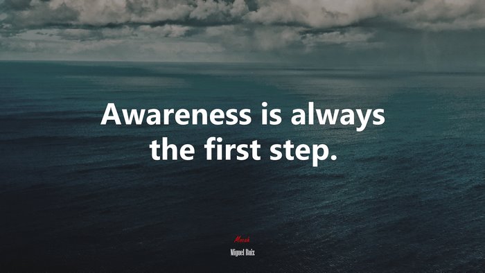 Awareness is always the first step. | Miguel Ruiz quote