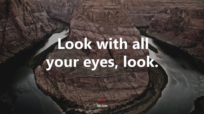 Look with all your eyes, look. | Jules Verne quote