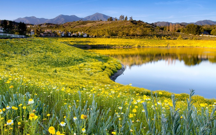 Lake with yellow wildflowers and distant mountains