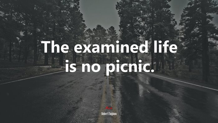 The examined life is no picnic. | Robert Fulghum quote