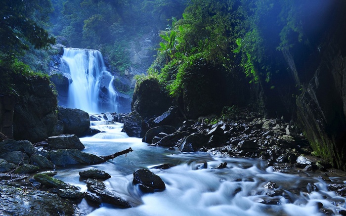 Waterfall flowing through a rocky forest