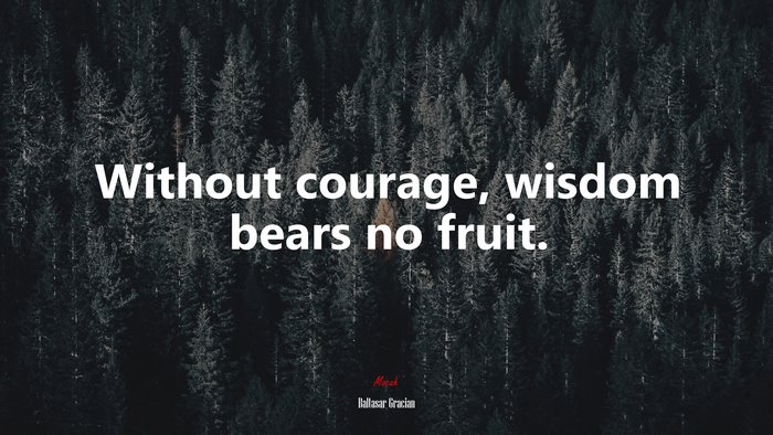 Without courage, wisdom bears no fruit. | Baltasar Gracián quote