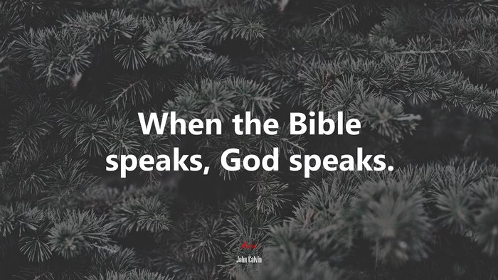 When the Bible speaks, God speaks. | John Calvin quote
