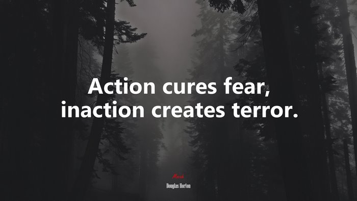 Action cures fear, inaction creates terror. | Douglas Horton quote