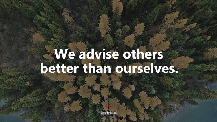 We advise others better than ourselves. | Norm MacDonald quote