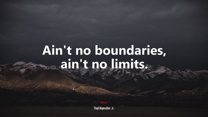 Ain’t no boundaries, ain’t no limits. | Floyd Mayweather, Jr. quote