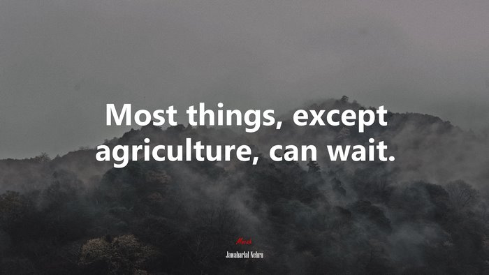Most things, except agriculture, can wait. | Jawaharlal Nehru quote