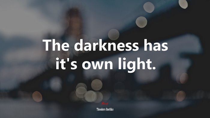 The darkness has it’s own light. | Theodore Roethke quote