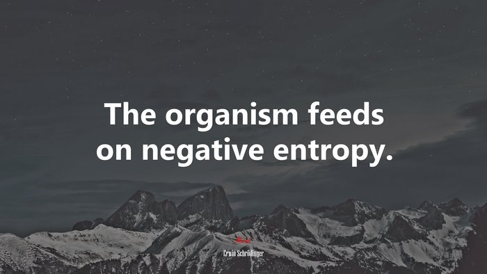 The organism feeds on negative entropy. | Erwin Schrödinger quote