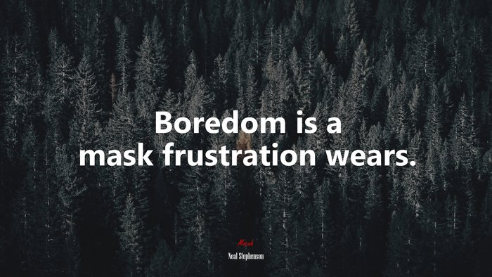 Boredom is a mask frustration wears. | Neal Stephenson quote