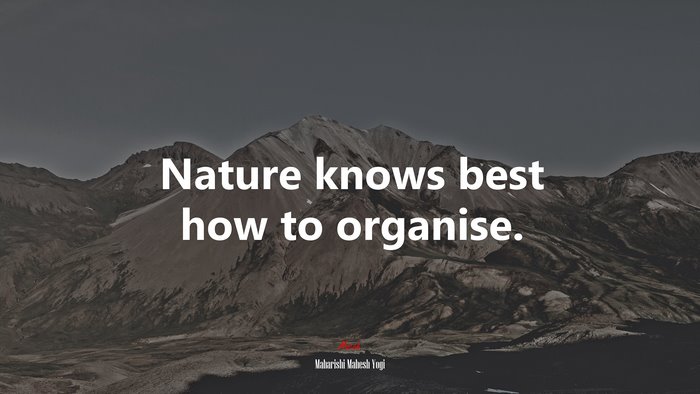 Nature knows best how to organise. | Maharishi Mahesh Yogi quote