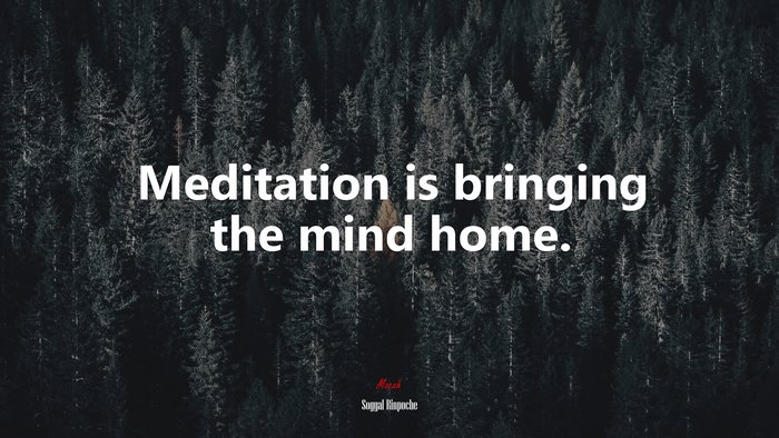 Meditation is bringing the mind home. | Sogyal Rinpoche quote