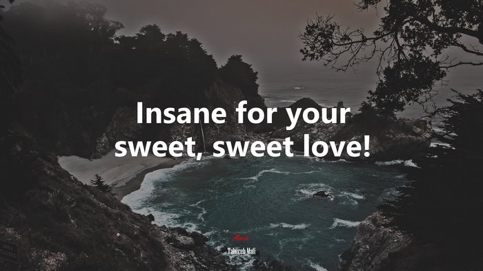 Insane for your sweet, sweet love! | Tahereh Mafi quote