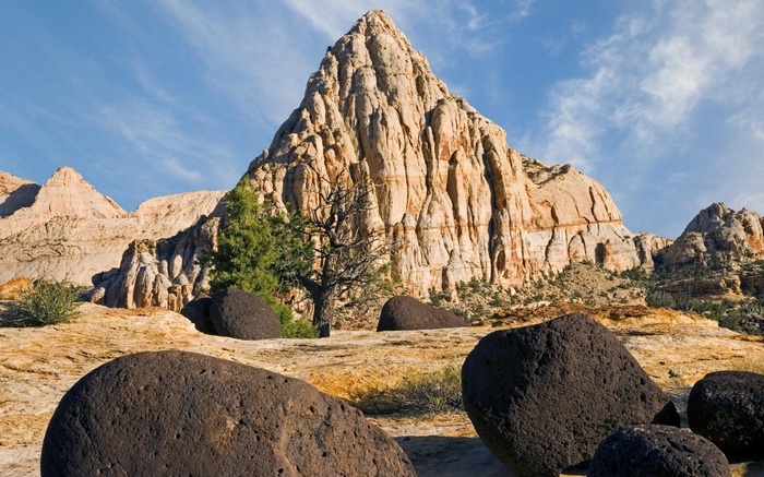 Rocky Mountains with Boulders and Trees