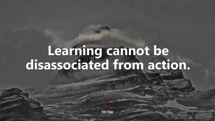 Learning cannot be disassociated from action. | Peter Senge quote