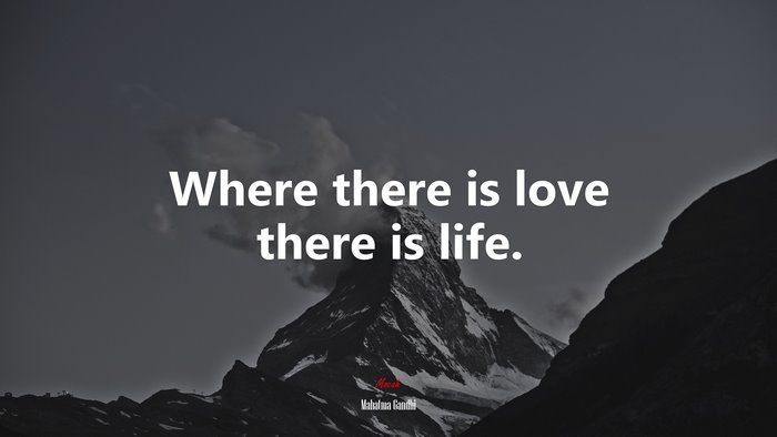 Where there is love there is life. | Mahatma Gandhi quote