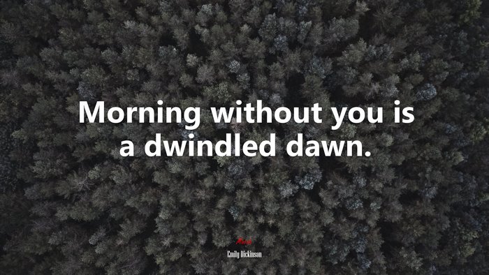 Morning without you is a dwindled dawn. | Emily Dickinson quote