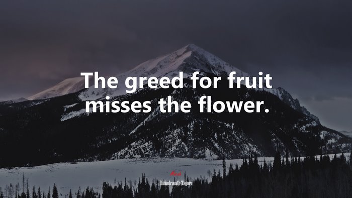The greed for fruit misses the flower. | Rabindranath Tagore quote