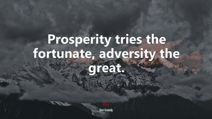 Prosperity tries the fortunate, adversity the great. | Rose Kennedy quote