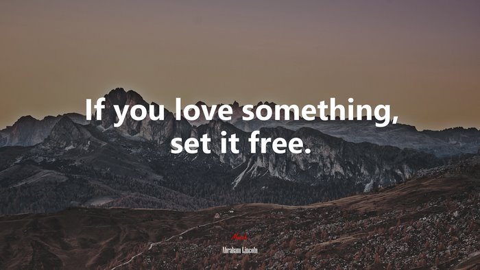 If you love something, set it free. | Abraham Lincoln quote