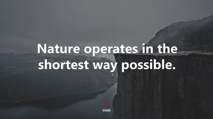 Nature operates in the shortest way possible. | Aristotle quote