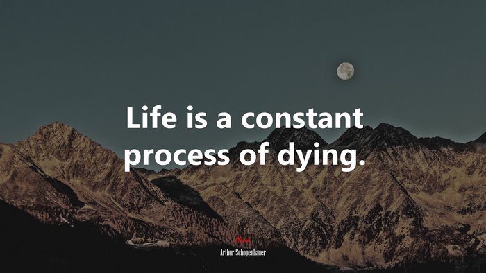 Life is a constant process of dying. | Arthur Schopenhauer quote