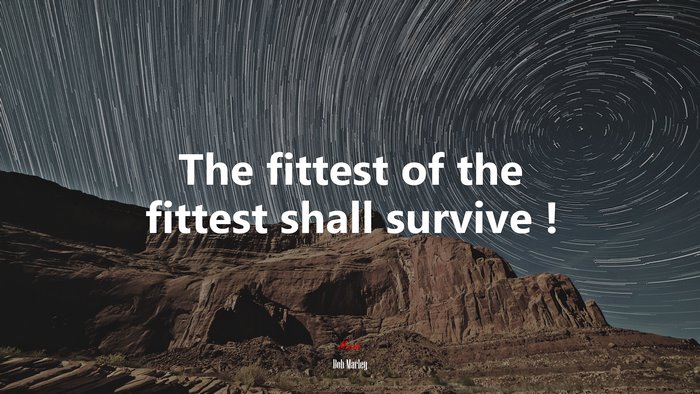 The fittest of the fittest shall survive ! | Bob Marley quote