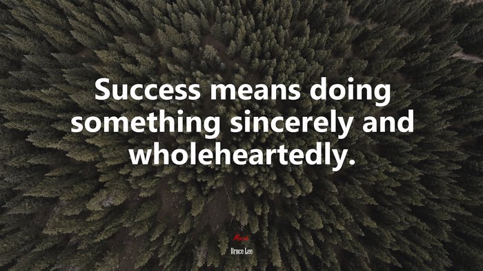 Success means doing something sincerely and wholeheartedly. | Bruce Lee quote