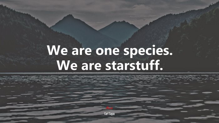We are one species. We are starstuff. | Carl Sagan quote