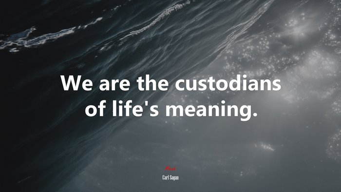 We are the custodians of life’s meaning. | Carl Sagan quote