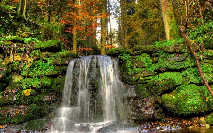 Waterfall cascading over mossy rocks in an autumn forest