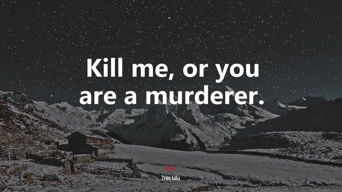 Kill me, or you are a murderer. | Franz Kafka quote