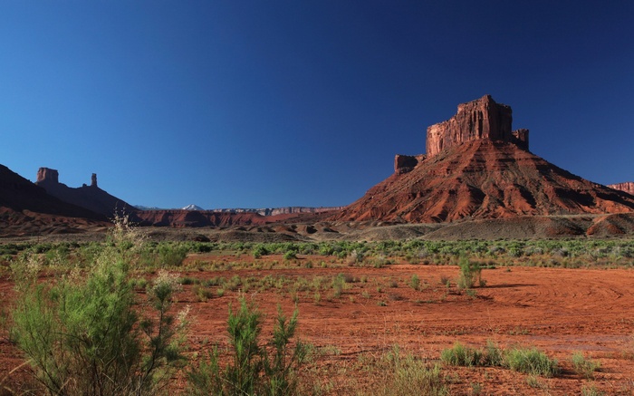 Desert landscape with mesas and sparse vegetation